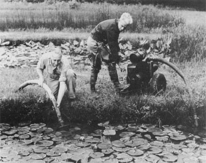 As part of a 1945 experiment, two researchers drain an artificial pond to see if fish were harmed by exposure to a DDT.